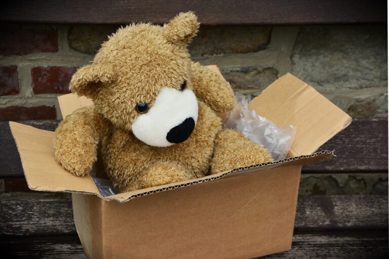 TOYS - Teddy