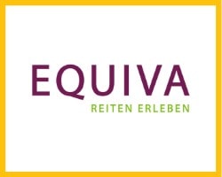 equiva-1-1